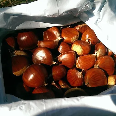 Bed & Breakfast D'hotes A Buglose 3*