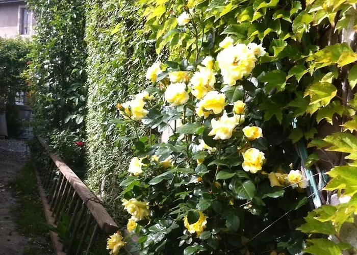 Bed and breakfast D'hotes A Buglose 3*