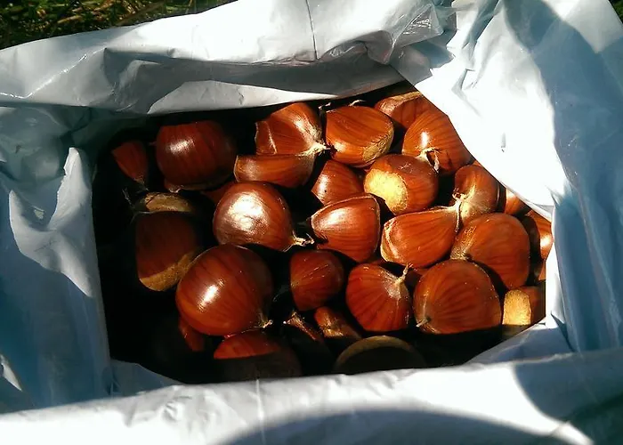 Bed and breakfast D'hotes A Buglose 3*